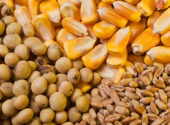 جزئیات تعیین نرخ نهادهها پس از حذف ارز ترجیحی