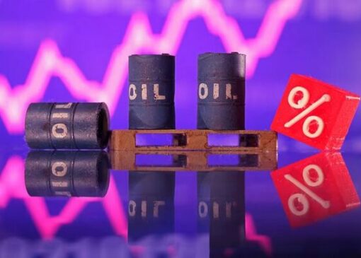 نفت در اوج ایستاد