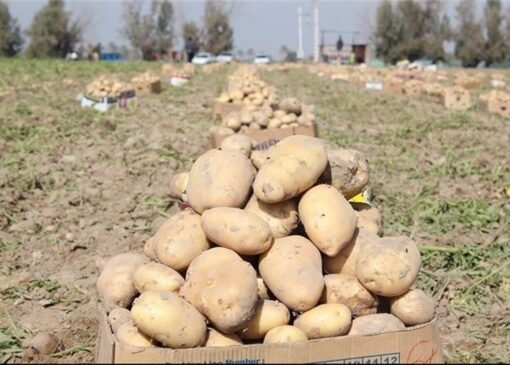 کشاورزان بخوانند