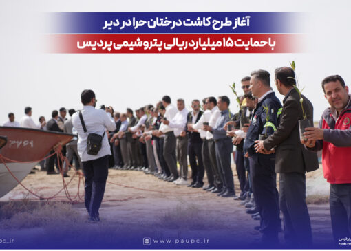 آغاز طرح كاشت درختان حرا در دیر با حمایت ۱۵ میلیارد ریالی پتروشیمی پردیس
