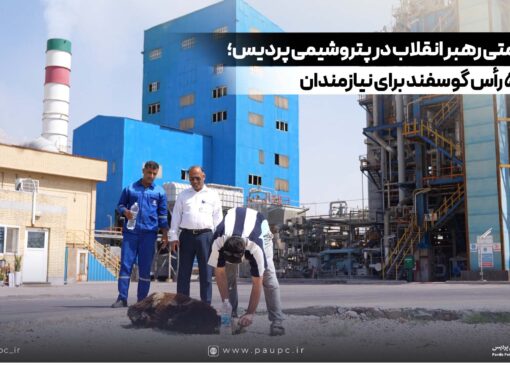نذر سلامتی رهبر انقلاب در پتروشیمی پردیس؛ قربانی ۵ رأس گوسفند برای نیازمندان