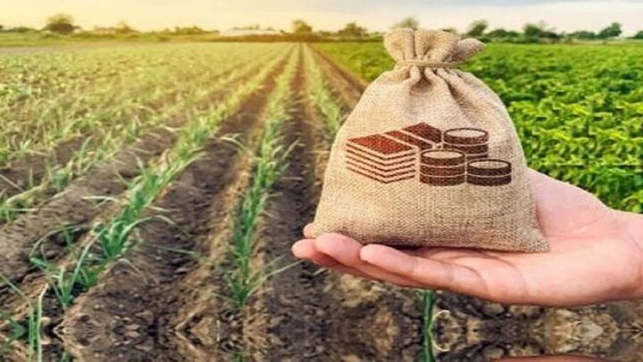 ۲۵۰ میلیارد تومان غرامت بیمه آبزیان پرداخت شد