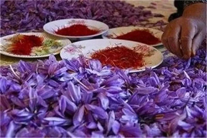 زعفران کیلویی چند؟