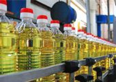 روغن مورد نیاز کشور تأمین شده است