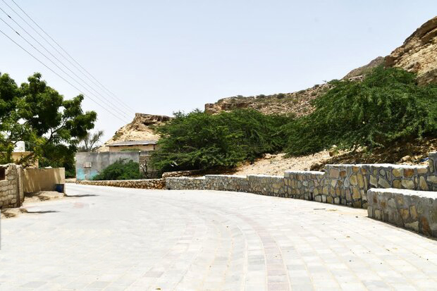 توسعه روستایی کشور با تاکید بر فناوریهای نوین